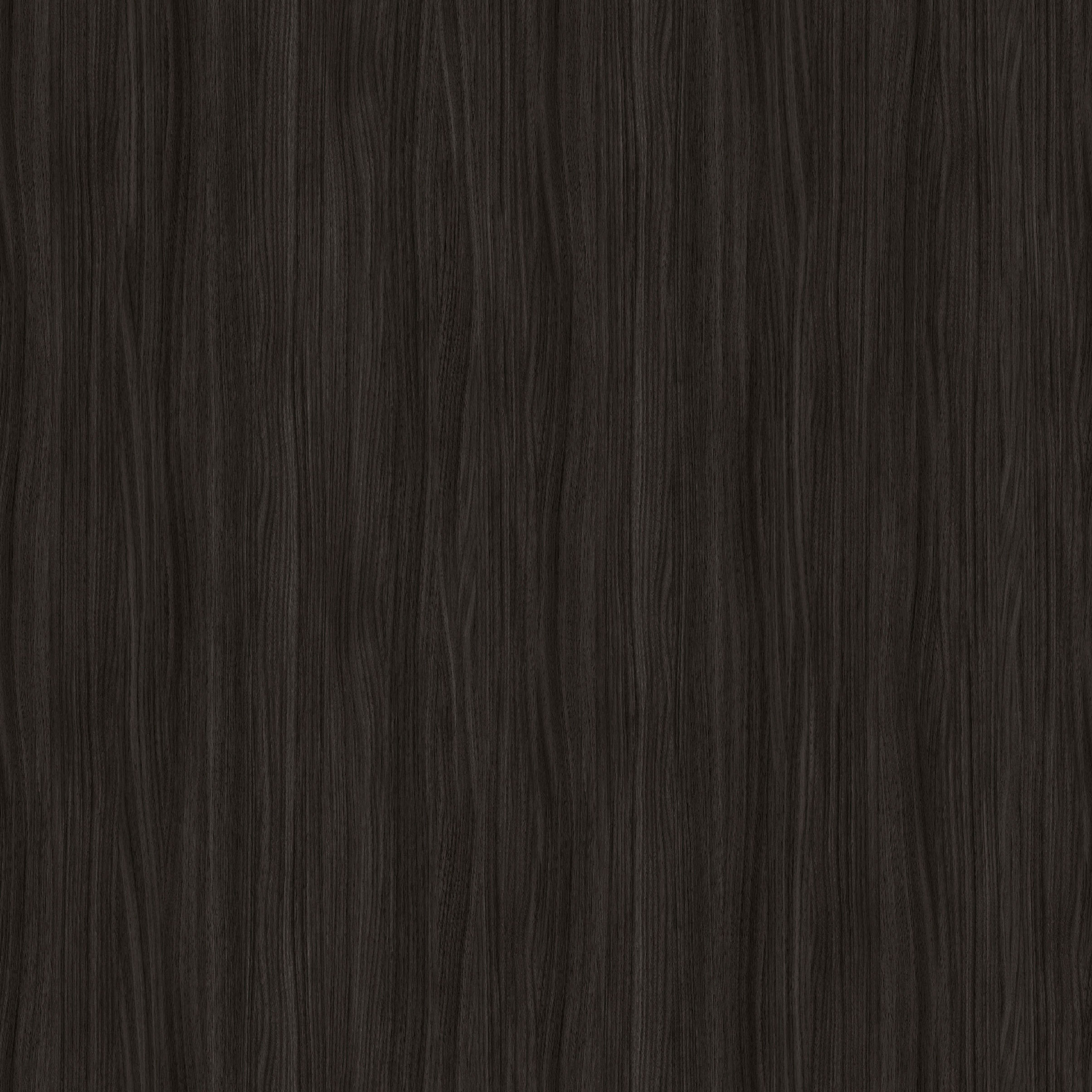 Rovere Asiatico